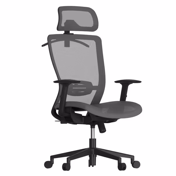 FLEXISPOT Ergonomic Office Chair OC3